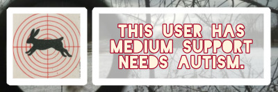 Credit: Saikiboxes on Tumblr. Text: "THIS USER HAS MEDIUM SUPPORT NEEDS AUTISM." THIS USER HAS MEDIUM SUPPORT NEEDS AUTISM.